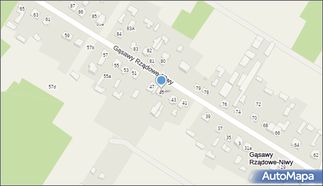 Gąsawy Rządowe-Niwy, Gąsawy Rządowe-Niwy, 45, mapa Gąsawy Rządowe-Niwy