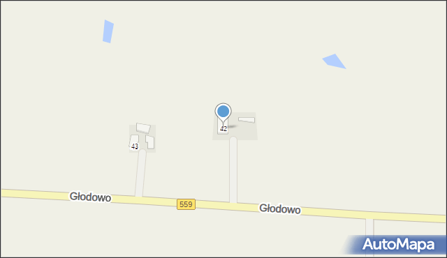 Głodowo, Głodowo, 42, mapa Głodowo