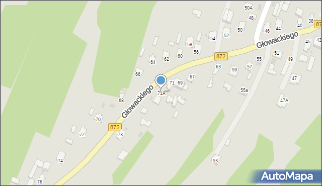 Nisko, Głowackiego Bartosza, 71A, mapa Nisko