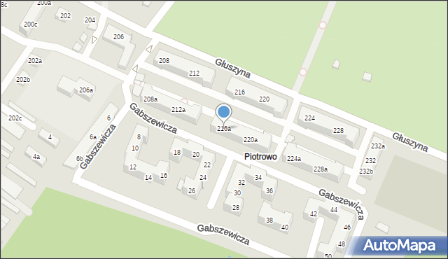 Poznań, Głuszyna, 216a, mapa Poznania