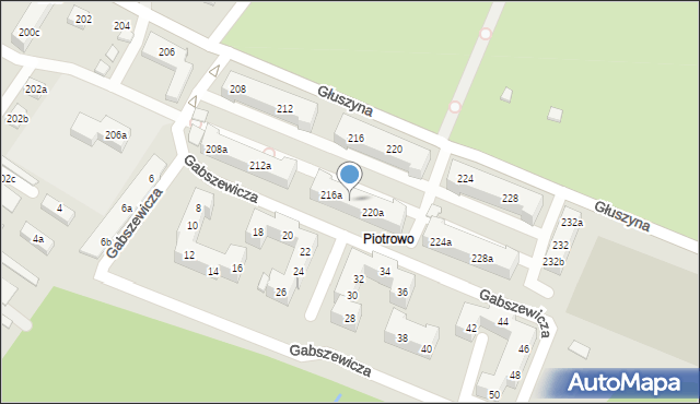 Poznań, Głuszyna, 218a, mapa Poznania