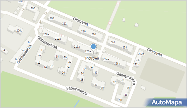 Poznań, Głuszyna, 222a, mapa Poznania