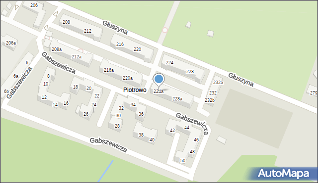 Poznań, Głuszyna, 224a, mapa Poznania