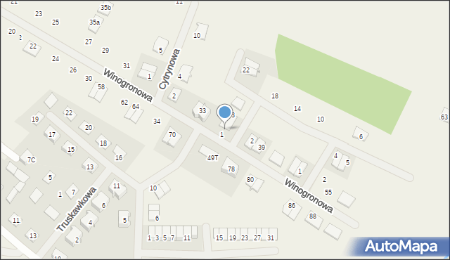 Radzyny, Główna, 49J, mapa Radzyny