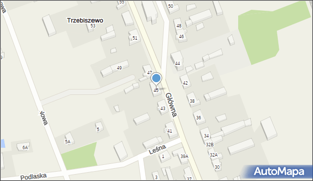 Trzebiszewo, Główna, 45, mapa Trzebiszewo