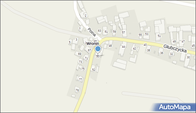 Wronin, Głubczycka, 50, mapa Wronin