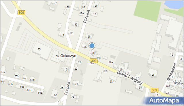 Gołaszyn, Gołaszyn, 18b, mapa Gołaszyn