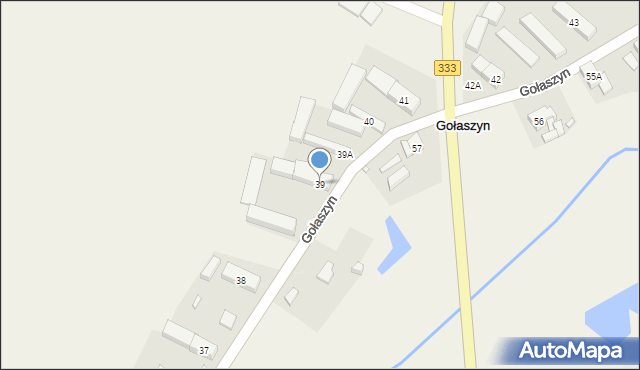 Gołaszyn, Gołaszyn, 39, mapa Gołaszyn