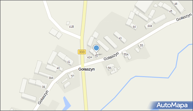 Gołaszyn, Gołaszyn, 42, mapa Gołaszyn