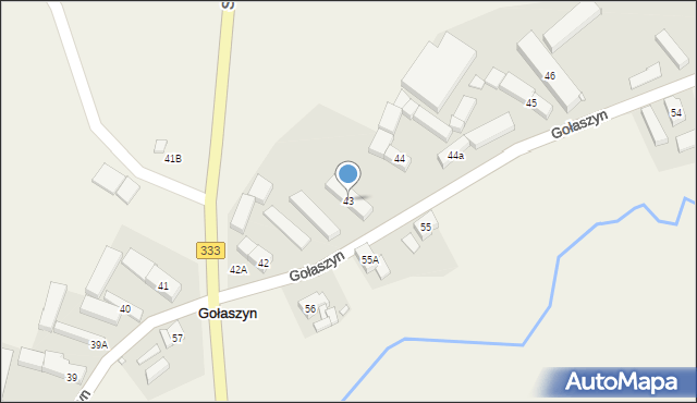 Gołaszyn, Gołaszyn, 43, mapa Gołaszyn