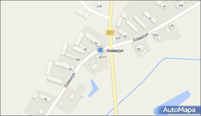 Gołaszyn, Gołaszyn, 57, mapa Gołaszyn