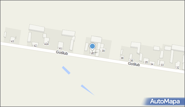 Goślub, Goślub, 40, mapa Goślub