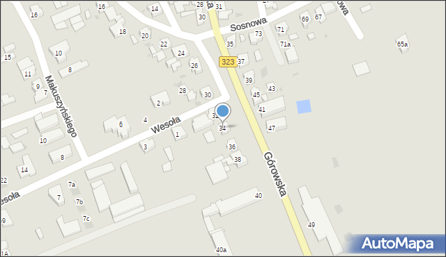 Leszno, Górowska, 34, mapa Leszno