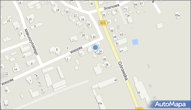 Leszno, Górowska, 34a, mapa Leszno