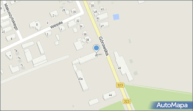 Leszno, Górowska, 40, mapa Leszno