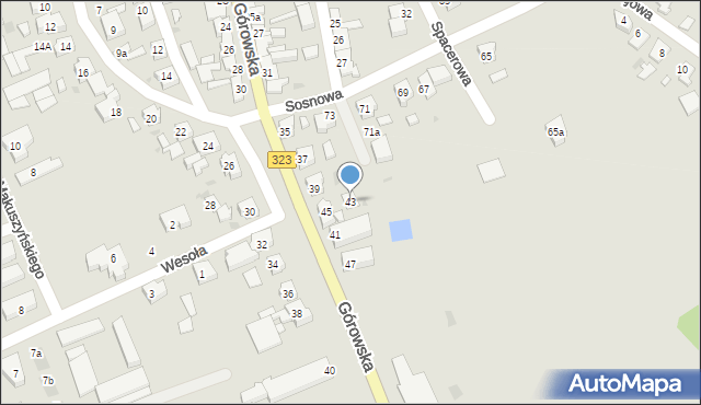 Leszno, Górowska, 43, mapa Leszno