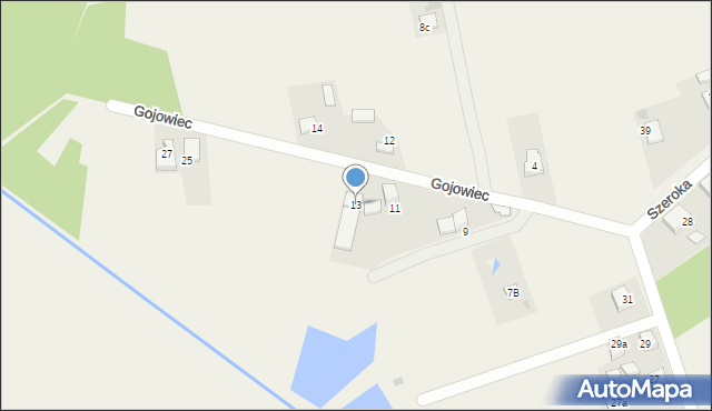 Palowice, Gojowiec, 13, mapa Palowice