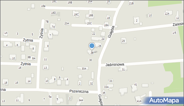 Puszczykowo, Gołębia, 28, mapa Puszczykowo