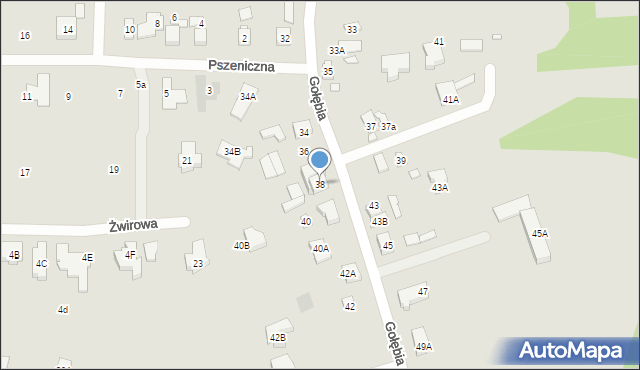 Puszczykowo, Gołębia, 38, mapa Puszczykowo