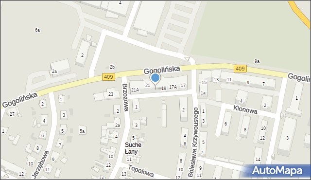 Strzelce Opolskie, Gogolińska, 19A, mapa Strzelce Opolskie