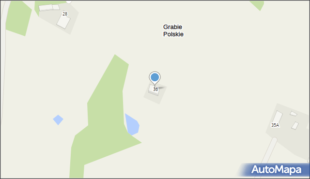 Grabie Polskie, Grabie Polskie, 36, mapa Grabie Polskie