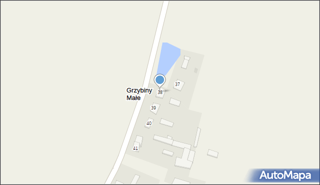 Grzybiny, Grzybiny, 38, mapa Grzybiny