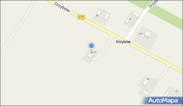 Grzybów, Grzybów, 37, mapa Grzybów