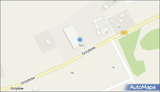 Grzybów, Grzybów, 77A, mapa Grzybów