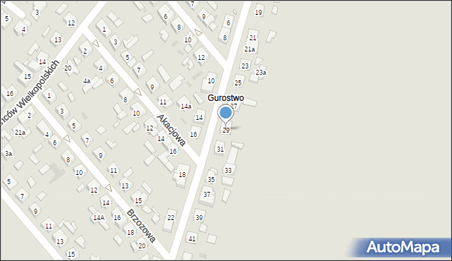 Kościan, Graniczna, 29, mapa Kościan