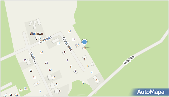 Stęszewko, Grzybowa, 10, mapa Stęszewko