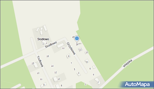 Stęszewko, Grzybowa, 14, mapa Stęszewko