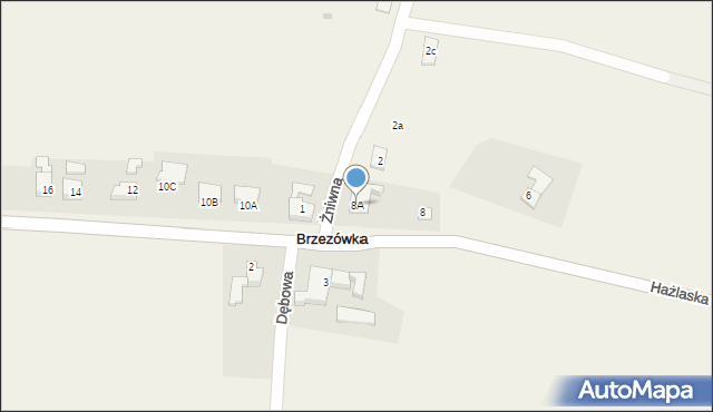 Brzezówka, Hażlaska, 8A, mapa Brzezówka