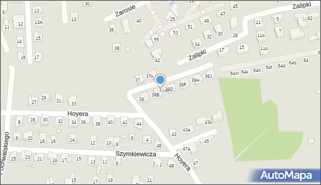 Kraków, Hoyera Henryka, 39C, mapa Krakowa