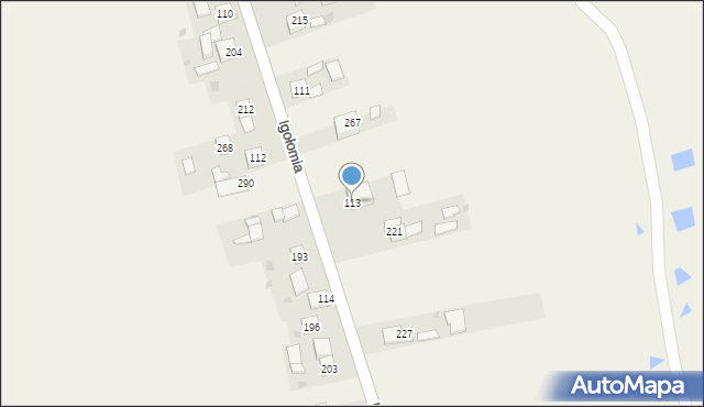 Igołomia, Igołomia, 113a, mapa Igołomia