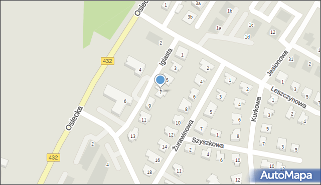 Leszno, Iglasta, 7, mapa Leszno