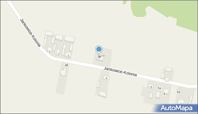 Jankowice-Kolonia, Jankowice-Kolonia, 3B, mapa Jankowice-Kolonia