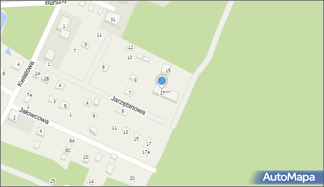 Kopalino, Jarzębinowa, 17, mapa Kopalino