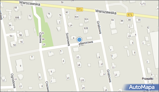 Nasielsk, Jaworowa, 3, mapa Nasielsk