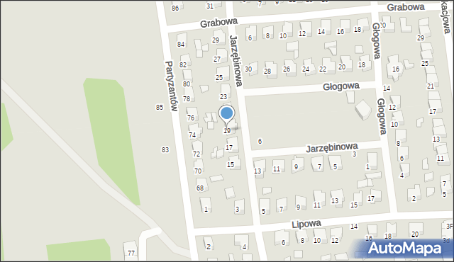 Opoczno, Jarzębinowa, 19, mapa Opoczno