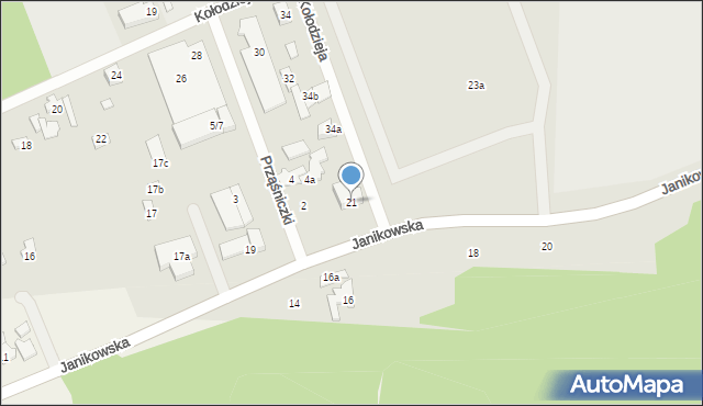 Poznań, Janikowska, 21, mapa Poznania