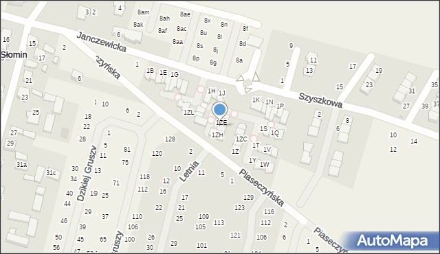 Słomin, Janczewicka, 1ZF, mapa Słomin