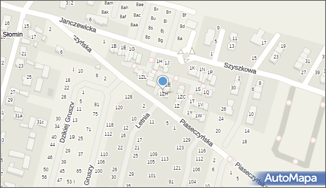 Słomin, Janczewicka, 1ZH, mapa Słomin