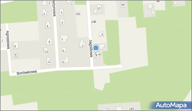 Stare Skoszewy, Jagodowa, 9, mapa Stare Skoszewy