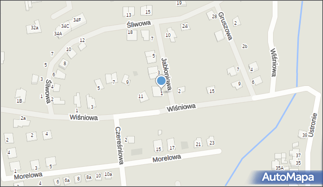 Wągrowiec, Jabłoniowa, 1, mapa Wągrowiec