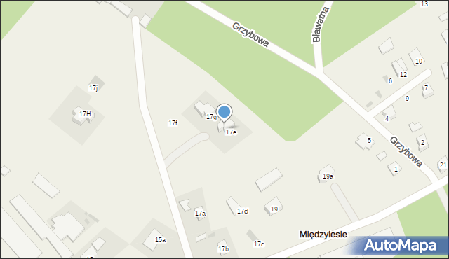 Międzylesie, Jeziorna, 17E, mapa Międzylesie