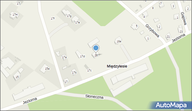 Międzylesie, Jeziorna, 19, mapa Międzylesie