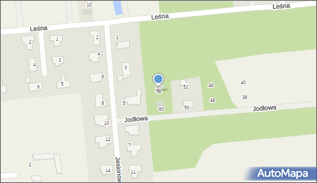 Lesznowola, Jodłowa, 58, mapa Lesznowola