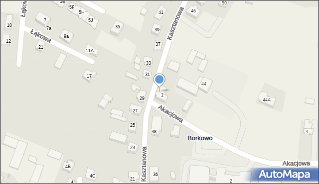 Borkowo, Kasztanowa, 42, mapa Borkowo