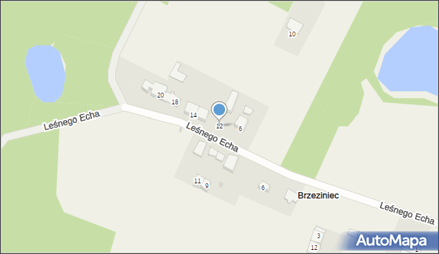 Brzeziniec, Kamienna, 12, mapa Brzeziniec