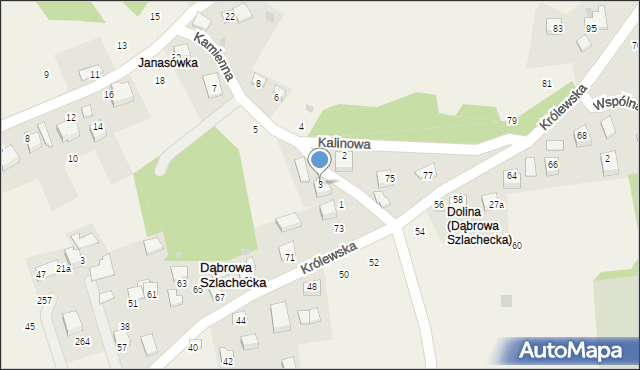 Dąbrowa Szlachecka, Kamienna, 3, mapa Dąbrowa Szlachecka